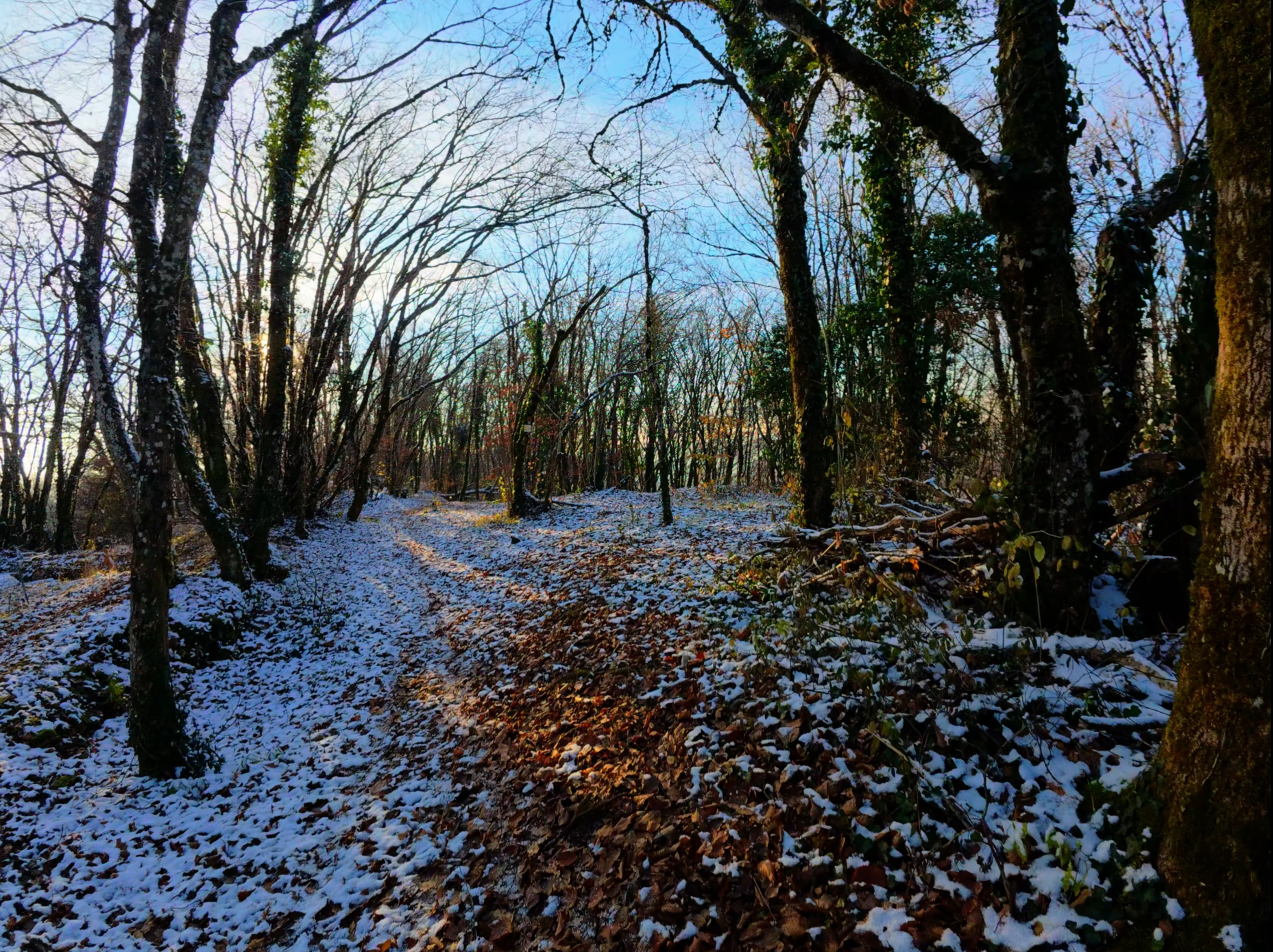 Vidéo de présentation du club